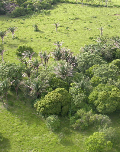 Los Tuxtlas coastal plain