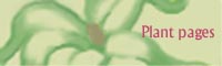 plant pages